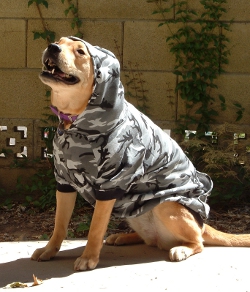 dog hoodies for large dogs